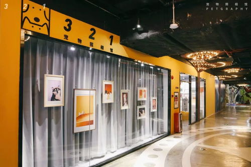 疫情中，一個寵物照相館老板的心路歷程
